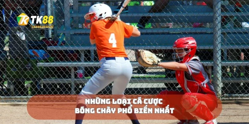 Những loại cá cược bóng chày phổ biến nhất