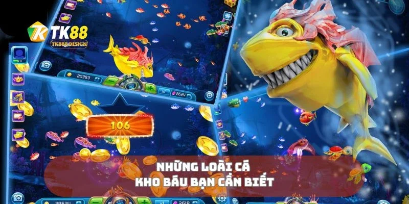 Những loài cá kho báu bạn cần biết