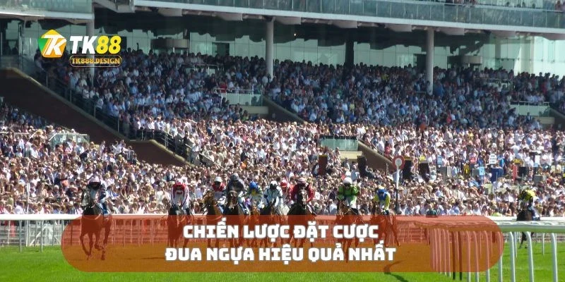 Chiến lược đặt cược đua ngựa hiệu quả nhất
