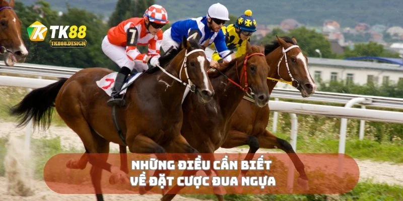 Những điều cần biết về đặt cược đua ngựa