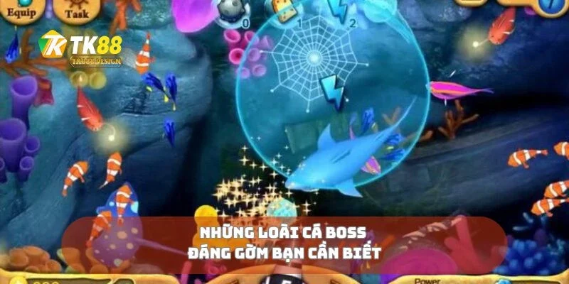 Những loài cá boss đáng gờm bạn cần biết